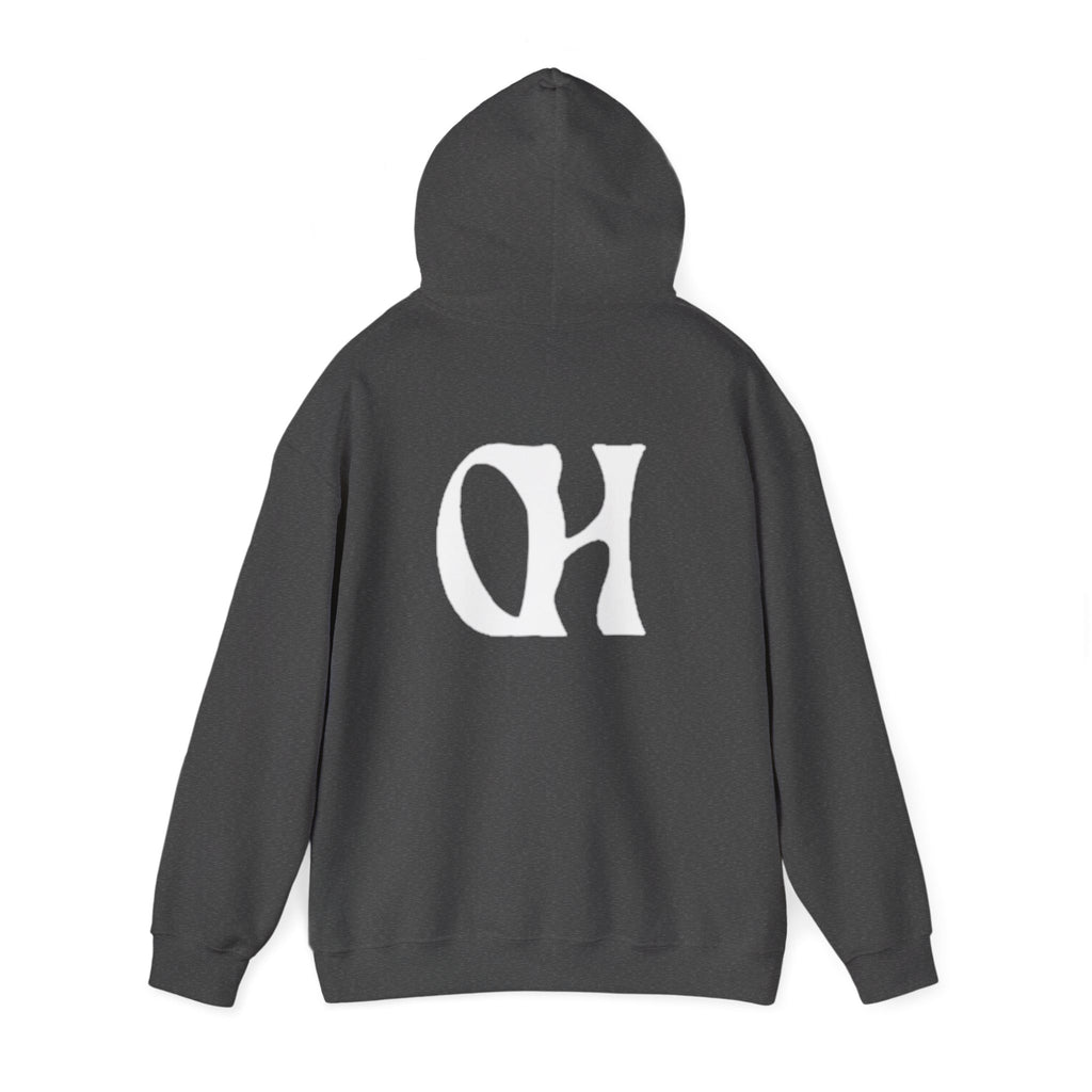 OH Ownhomwland Printed Unisex Heavy Blend™ Hooded Sweatshirt