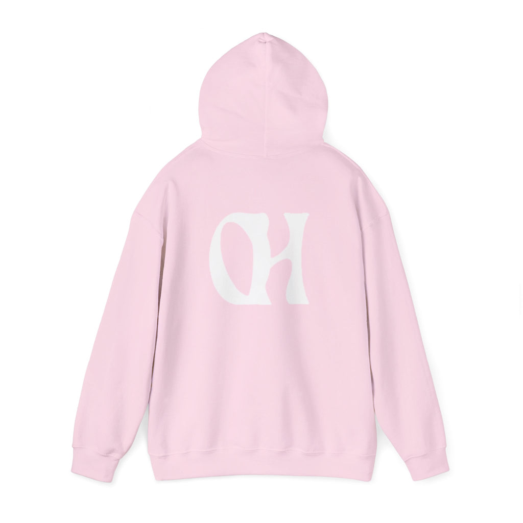 OH Ownhomwland Printed Unisex Heavy Blend™ Hooded Sweatshirt