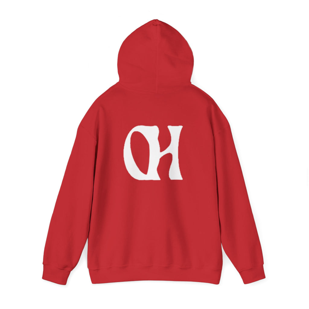 OH Ownhomwland Printed Unisex Heavy Blend™ Hooded Sweatshirt